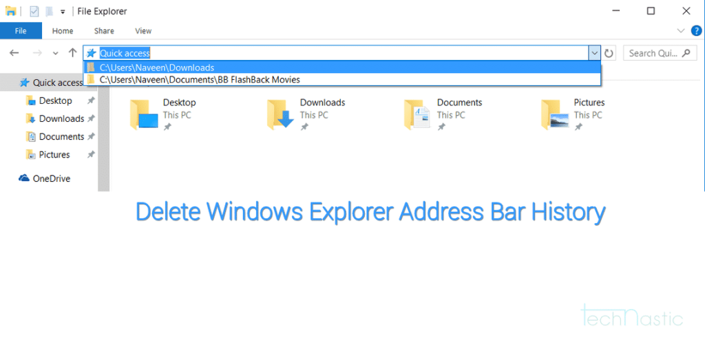 Delete Windows Explorer Address Bar History