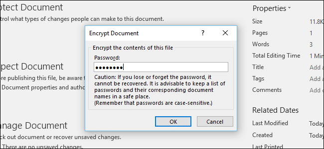Protect Microsoft Office Files - 2