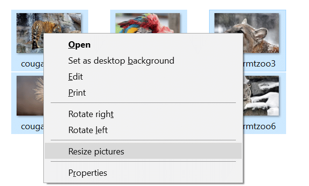Resize pictures option