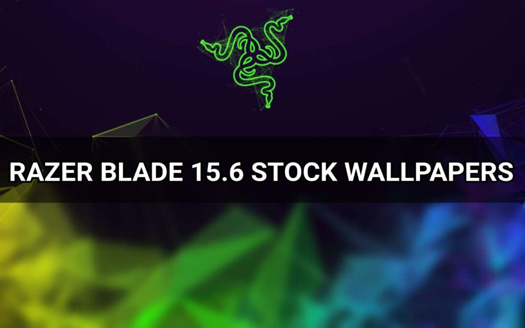 razer blade 15.6 wallpapers