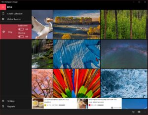 5 Best Wallpaper Apps for Windows 10 in 2024 - Technastic