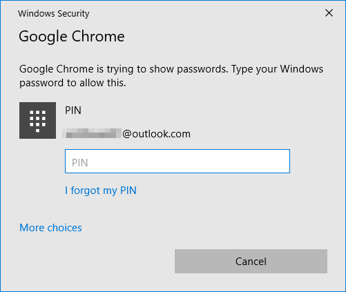 enter computer pin to show password