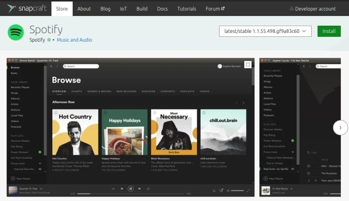 spotify downloader linux