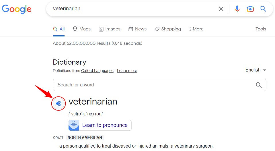 check word pronunciation on google