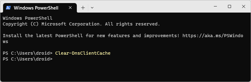 clear dns cache in windows powershell