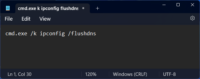 type the flush dns command in notepad file