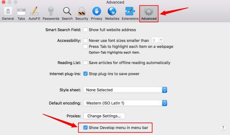 enable safari develop menu from settings