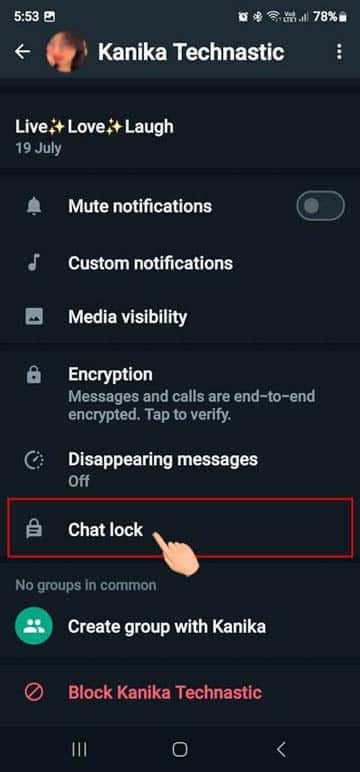 chat info on whatsapp