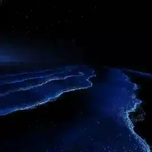 Huawei MateBook Fold Ultimate night waves wallpaper
