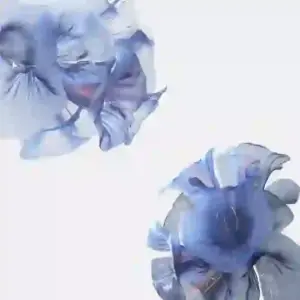 Huawei MateBook Fold Ultimate digital blossom wallpaper