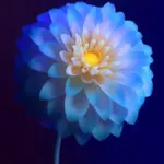 camera cutout wallpaper 35