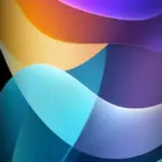 camera notch wallpaper 12