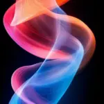 camera notch wallpaper 18