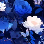 camera cutout wallpapers 24