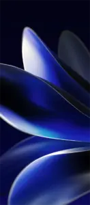 Meizu Note 16 blue petal wallpaper