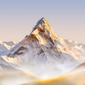 Honor Magic 8 Wallpaper 04