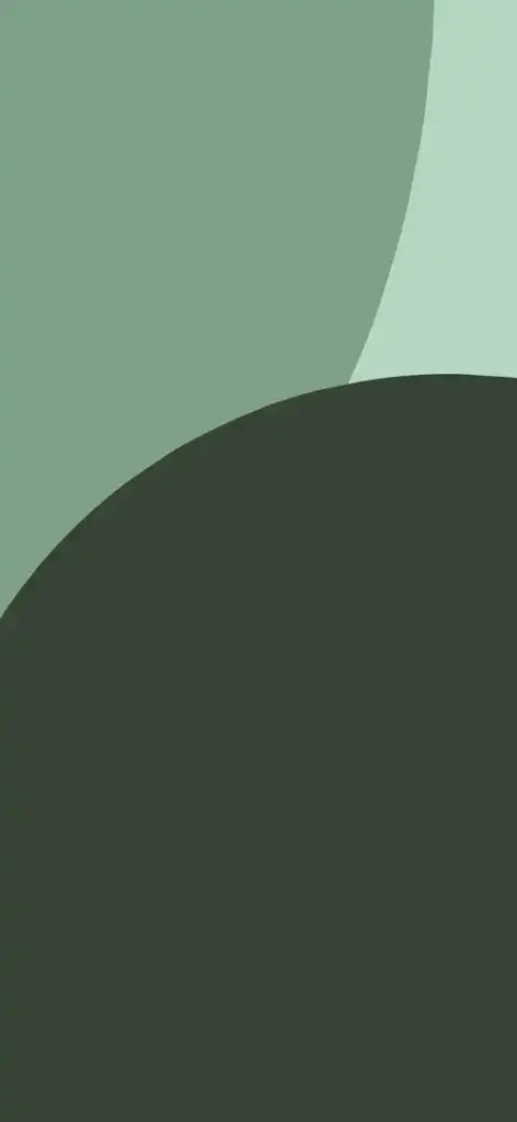 Sharp Aquos Sense9 Wallpaper green